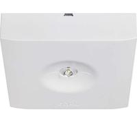 Ceag Systèmes d'éclairage de secours Lampe de sécurité GuideLedSL13012.2CGS 40071356732