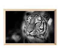 CEANOTHE Tableau mural encadré Portrait Tigre Sauvage 40x60 cm Noir & Blanc Noir & blanc