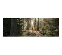Ceanothe Tableau sur toile forêt enchantée 30x97 cm | Tableau sur toile forêt enchantée 30x97 cm Décoration Murale Art Imprimée en HD Idéal pour Salon Chambre Bureau - Bois FSC
