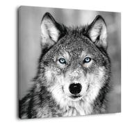 Ceanothe Tableau sur Toile Loup aux Yeux Bleus 30x30 cm Décoration Murale Art Décoratif Muraux Peinture Imprimée en HD Salon Chambre Bureau Bois de Forêt FSC Fabriqué en France