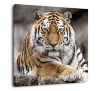 Ceanothe Tableau sur toile tigre de Sibérie 65x65 cm | Tableau sur toile tigre de Sibérie 65x65 cm Décoration Murale Art Imprimée en HD Idéal pour Salon Chambre Bureau - Bois FSC