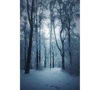 Ceanothe Tableau sur verre synthétique paysage glacé 80x120 cm | Tableau sur verre synthétique paysage glacé 80x120 cm Impression Image en Haute Définition Tableau mural décoratif Fabriqué