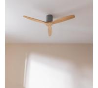 CECOTEC A01_EU01_122168 - EnergySilence Aero 5400 Classic Iron&LightWood
