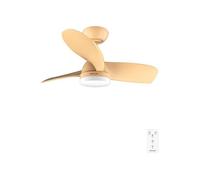 Cecotec Ventilateur de plafond avec lumière EnergySilence Aero 3050 Orange