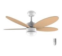 Cecotec Ventilateur de plafond EnergySilence Aero 4260 Orange