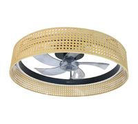 Ventilateur de plafond cecotec moderne 17 pouces beige
