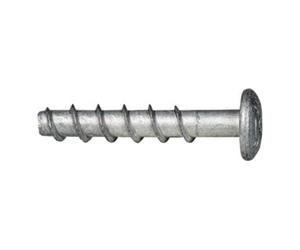 CELO Befestigungssysteme Vis d'ancrage direct béton BTS PT 6-40/5, tête ronde Tx30, gris Zn-Al (150 ) Celo Quantité:150
