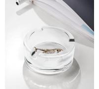 Cendrier moderne en verre rond en forme de squelette d'âne du XIXe siècle, pour cigares et cigarettes, décoration pour la maison ou le bureau, 8,4 x 3,6 cm