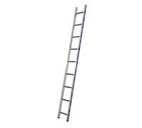 Centaure Échelle simple 2.80 m