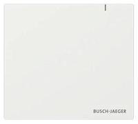 Centrale de système domotique Busch-Jaeger, modèle SAP.13, compatible avec les systèmes filaires et sans fil "free@home", équipée de Wi-Fi, USB-C, quantité : 1 pièce.
