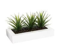 Centro de Mesa 3 Aloe Vera - 17 cm Atmosphera