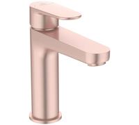 CERAFINE O BSN H120 RMTD ROSE CL WST 5L