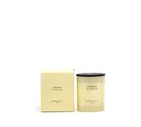 Cereria Molla 1899 Bougie parfumée Verveine di Sicilia 230g 1 wiek 50 brûlures de cire de soja verveine fraîche agrumes en coton à la main mèche