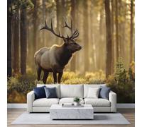 Cerf Élaphe Forêt Soleil Papier Peint Photo 500 x 280 cm Murale Panoramique | Nature Animaux Sauvages Murale Stickers Intissé pour Cuisine Chambre Salle Salon Décor Fond TV