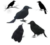 Cerioll Corbeau d'halloween Décoration, 3 Paquets Corbeau À Plumes Noires, Corbeaux d'halloween, Corbeaux Artificiels à Plumes Décorations Réalistes pour Décoration de Fête d'extérieur