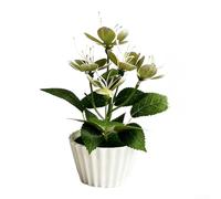 Cerisier artificiel miniature en pot avec fleurs réalistes imprimées 3D en caoutchouc souple pour décoration de bureau, centre de table de mariage, photographie (vert)