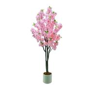 Cerisier sakura rose 5FT pot pépinière grand plante déco intérieur extérieur maison bureau