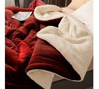 Cette couverture en velours de lait bourgogne de 400g est douce et confortable, convenant à l'utilisation dans la chambre à coucher et la chambre d'amis. C'est le choix parfait pour Noël, et aussi un 