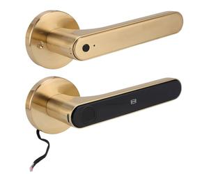 CFTGIW Serrure d'Entrée de Porte Multifonction 5 en 1 avec Doigt Serrure d'Entrée de Porte Multifonction 5 en 1 avec Empreinte Digitale, Mot de Passe, Carte IC et Application - Poignée Dorée