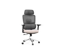 Ergomy Pro | Tissu maille/ Tissu - Siège de bureau de qualité professionnelle Gris foncé / beige