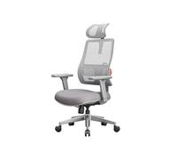 Chaise de bureau ergonomique MAGICH003 dossier auto-adapté soutien lombaire adaptatif appui-tête réglable gris