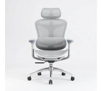 Chaise de bureau ergonomique SIHOO Doro C300 avec accoudoirs 3D, soutien lombaire auto-ajustable et dossier en maille respirante