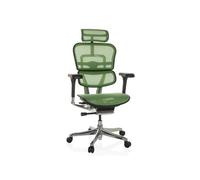 ERGOHUMAN GEN2 | tissu maille - Siège de direction de luxe Vert