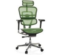 ERGOHUMAN GEN2 | tissu maille - Siège de direction de luxe Vert