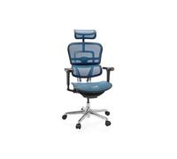 ERGOHUMAN ULTRA GEN2 | tissu maille - Siège de direction de luxe Bleu