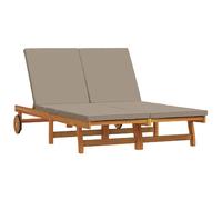 Chaises longues VidaXL - Ensemble de 2 - Marron