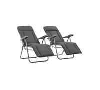 vidaXL Chaises de jardin pliantes avec coussins 2 pcs. Gris