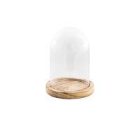 Chaks - Cloche en verre avec socle en bois, dôme transparent avec socle en verre et en bois, décoration pour salon, étagère et table