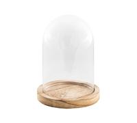 Chaks - Cloche en verre avec socle en bois, dôme transparent avec socle en verre et en bois, décoration pour salon, étagère et table
