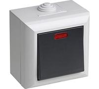 Champion 7417100 Interrupteur de Secours pour Chauffage en saillie IP54 1 Delta