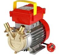 Champion Electropump Rover-25 230V Monophase