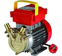 Champion Electropump Rover20Ce