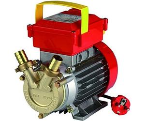 Champion Electropump Rover20Ce
