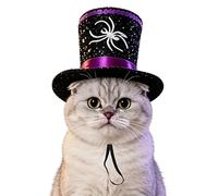 Chapeau D'Halloween Pour Chat Chapeau Déguisement Araignée Rigolo