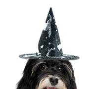 Chapeaux Halloween pour Chiens Coiffe Confort Armature Acier