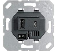 Jung Chargeur USB USB15CASW (USB15CASW)