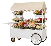 Chariot à bonbons d'extérieur à roulettes avec auvent, support de présentation de dessert, marché fermier, chariot en fer forgé pour fête ou événement
