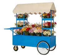 Chariot à bonbons d'extérieur à roulettes avec auvent, support de présentation de dessert, marché fermier, chariot en fer forgé pour fête ou événement