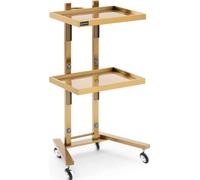 Chariot cosmétique Expondo physa - 2 tablettes - 40 x 85 x 48 cm - doré