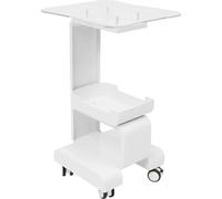 Chariot de coiffure - Chariot de salon - Métal et acrylique - Avec 4 roulettes pivotantes - Modèle sur pied - Pour salon et domicile - Montage nécessaire - Blanc