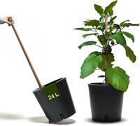 Chariot de jardin anthracite - Pot de fleurs design sur roulettes, 24 litres, treillis de 1,20 m, grande réserve d'eau, idéal pour balcon et terrasse