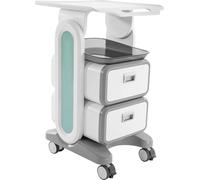 Chariot de salon à roulettes - Chariot de coiffeur/à outils - 2 tiroirs - 2 tablettes - Structure métallique, ABS/PC - Charge maximale 60 kg - Blanc