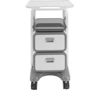 Chariot de salon - Chariot roulant - 2 tiroirs - 2 tablettes - Roulettes blocables - Capacité de charge 60 kg - ABS/PC/métal - Gris foncé
