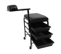 Chariot de service à 3 tiroirs avec roulettes - Chariot de cuisine à roulettes en métal - Armoire de niche étroite - Étagère enfichable en plastique - Chariot de nettoyage pour esthéticien