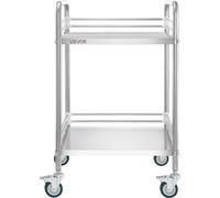 Chariot en acier inoxydable, chariot utilitaire de laboratoire à 2 niveaux avec roulettes verrouillables, chariot de service médical, plateau de clinique, plateau de rangement mobile robuste pour hôpi