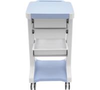 Chariot médical à 3 niveaux, équipé de tiroirs, avec structure métallique. Il comprend 2 tiroirs et est monté sur roulettes. Idéal pour les cabinets d'échographie et les instituts de beauté. Couleur :